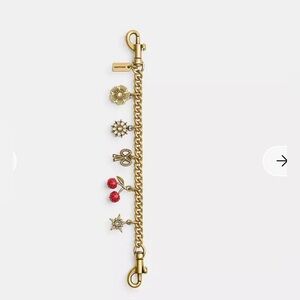 Crystal motif coach bag charm